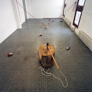  various materials,  variable dimensions 2010